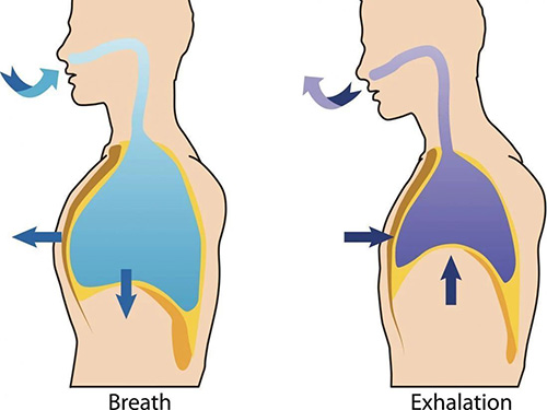 How to perform household oxygen therapy with COPD patients